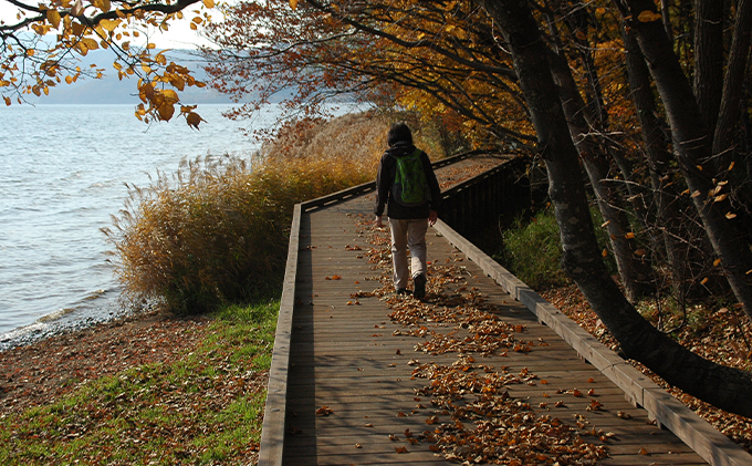 北海道洞爺湖町 日本旅行 地域限定旅行クーポン300,000円分 チケット 