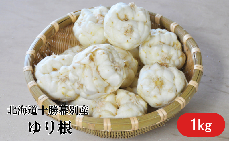 十勝幕別 忠類ゆり根 1kg［M～2L］7～12玉【2025年10月出荷先行予約