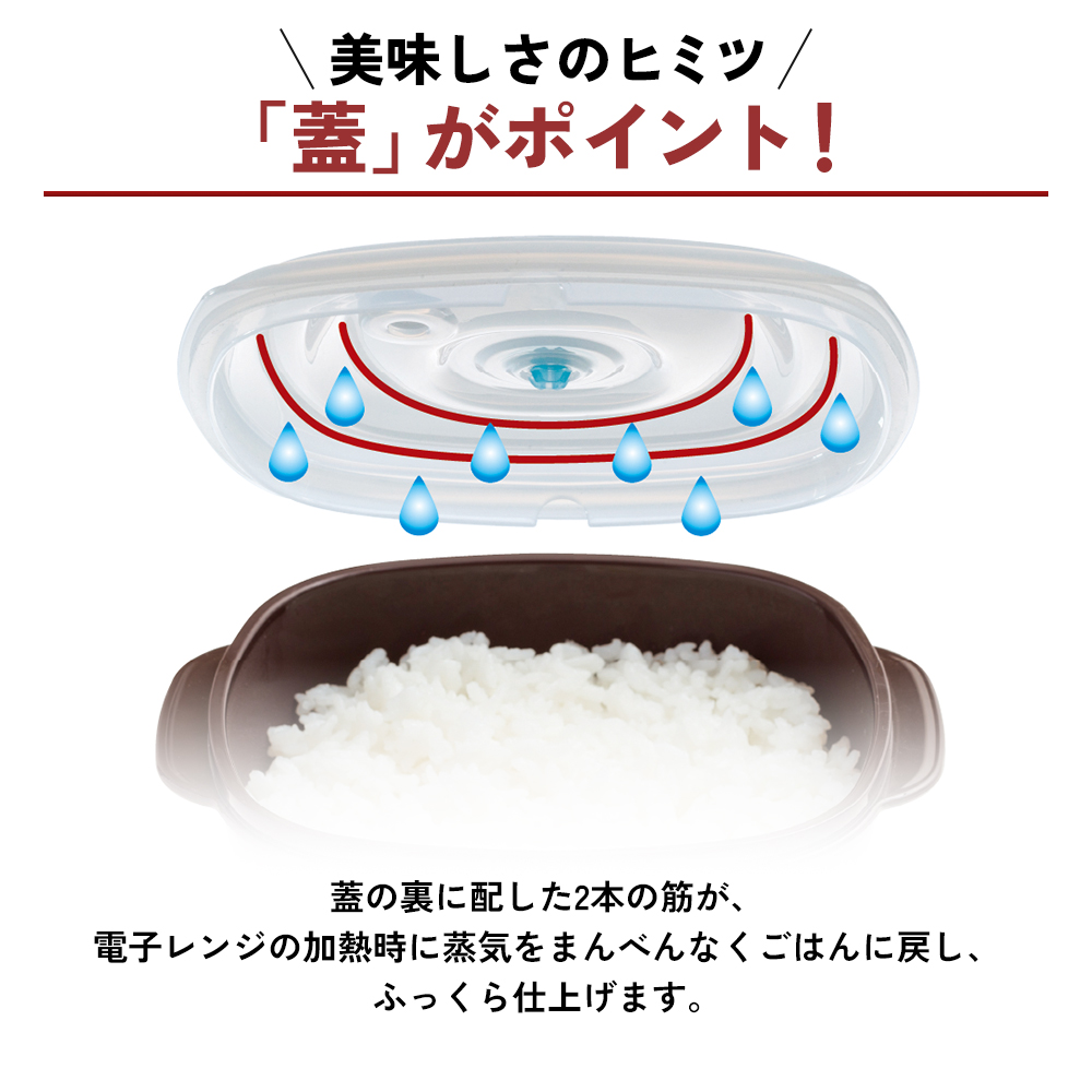 特別寄附額 [ 真空おひつ ] 真空ポンプ付き 真空保存容器 電子