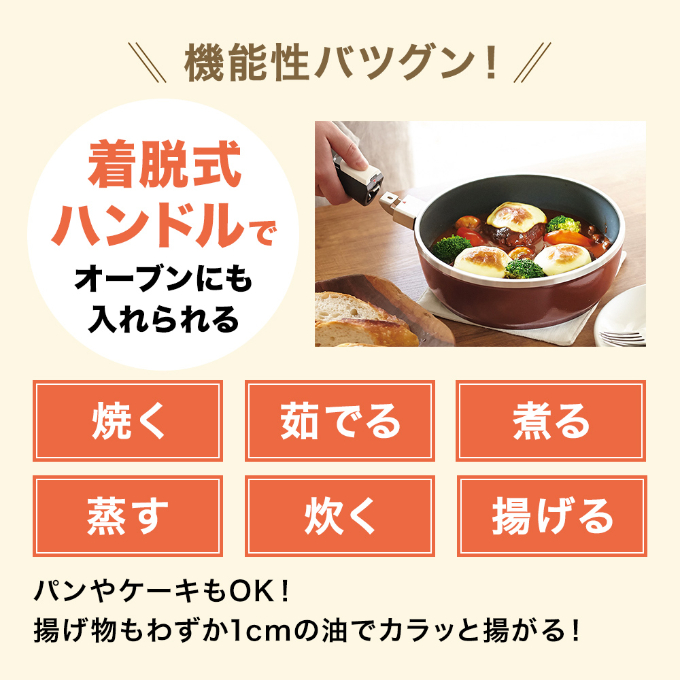 特別寄附額 改定前 [ オールパンゼロクリア 22cm・マンゴー