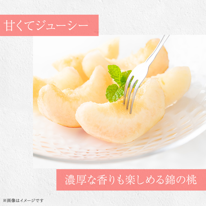 熊本県錦町のふるさと納税 桃 白桃 先行予約 錦の桃 2kg 約5玉～9玉 もも モモ フルーツ 果物 デザート 2025年発送 鎌木果樹園 配送不可:離島