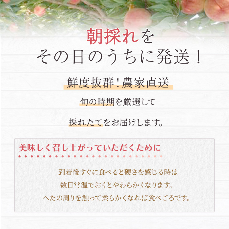 熊本県錦町のふるさと納税 桃 白桃 先行予約 錦の桃 2kg 約5玉～9玉 もも モモ フルーツ 果物 デザート 2025年発送 鎌木果樹園 配送不可:離島