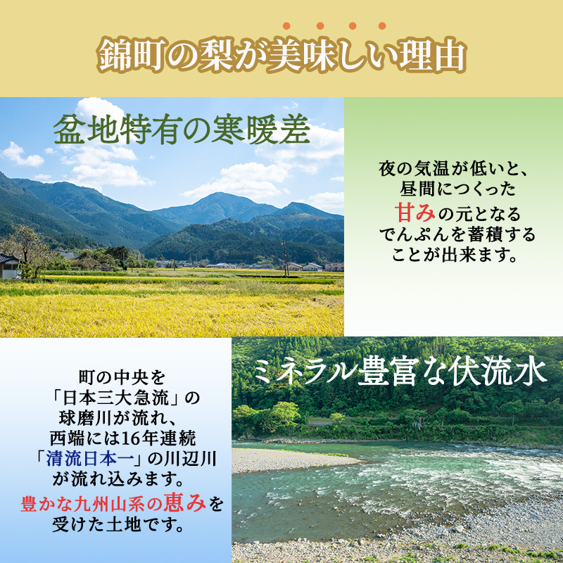 熊本県錦町のふるさと納税 梨 旬 5kg 先行予約 2025年発送 平野果樹園 錦の梨 なし フルーツ 果物 デザート 配送不可:離島
