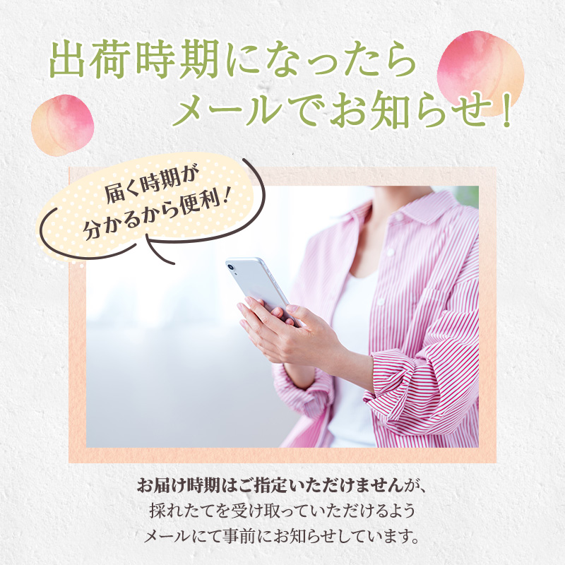 熊本県錦町のふるさと納税 桃 白桃 先行予約 錦の桃 2kg 約5玉～9玉 もも モモ フルーツ 果物 デザート 2025年発送 鎌木果樹園 配送不可:離島