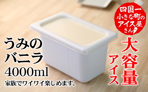 高知県田野町のふるさと納税 【四国一小さなまちのアイス屋さん】≪松崎冷菓≫大容量アイス 4000ml ★うみのバニラ★ 4l アイスミルク スイーツ デザート 天日塩 おすすめ 美味しい 高知県 田野町