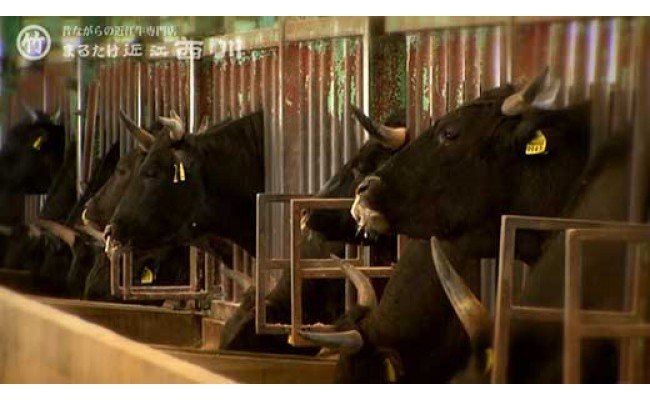 近江牛すきやき用【450ｇ】【N004W】