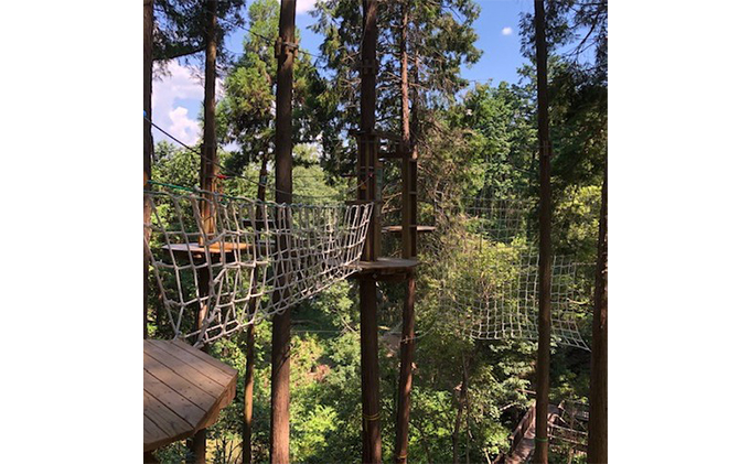 冒険の森inおうじ　アドベンチャーコース10名様チケット 入場券 優待券 体験チケット 