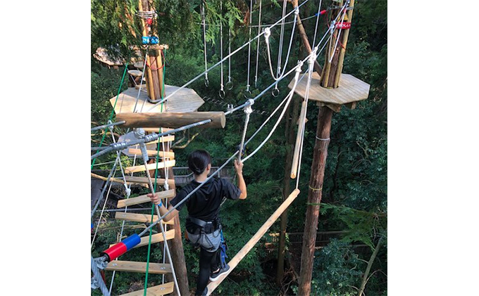 冒険の森inおうじ　アドベンチャーコース2名様チケット 入場券 優待券 体験チケット 