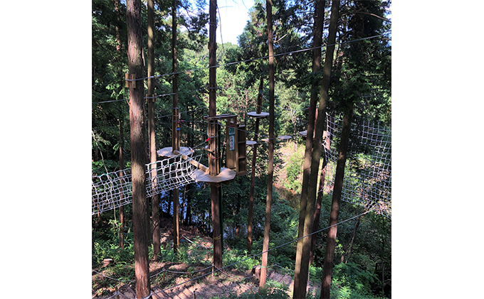 奈良県王寺町のふるさと納税 冒険の森inおうじ　ディスカバリーコース4名様チケット 入場券 優待券 体験チケット