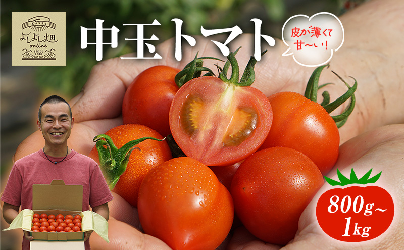yɌszg}g  800g`1kg 悵悵̂܁`g}g Ƃ܂ G߂̖ {̖ VN _ƒ Ė 