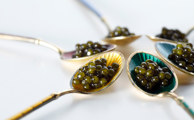 瀬戸内キャビア 15g・25g 各2個 魚貝類 加工品 