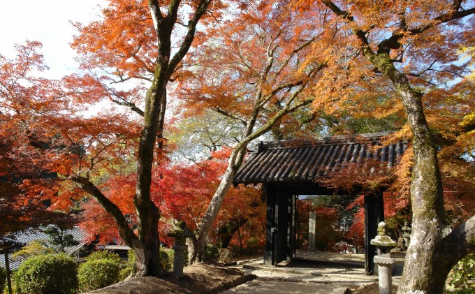 福岡県朝倉市　日本旅行　地域限定旅行クーポン150,000円分 チケット 