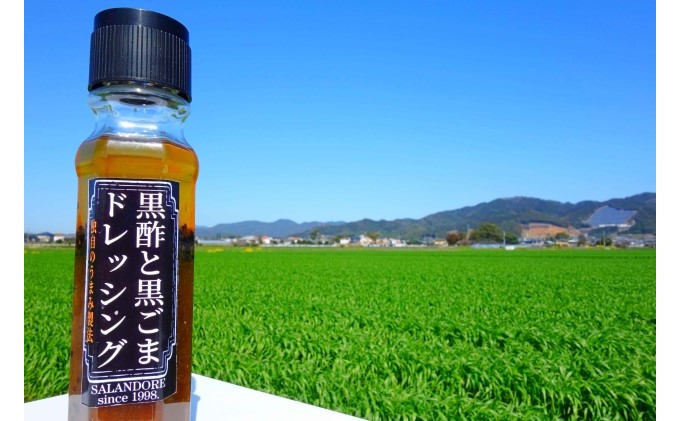福岡県朝倉市のふるさと納税 【黒酢と黒ごまドレッシング】（標準サイズ200ml）24本セット 調味料