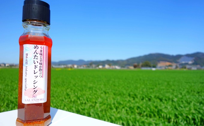 【-うま味と辛味が際立つ-めんたいドレッシング】（標準サイズ200ml）24本セット 調味料 