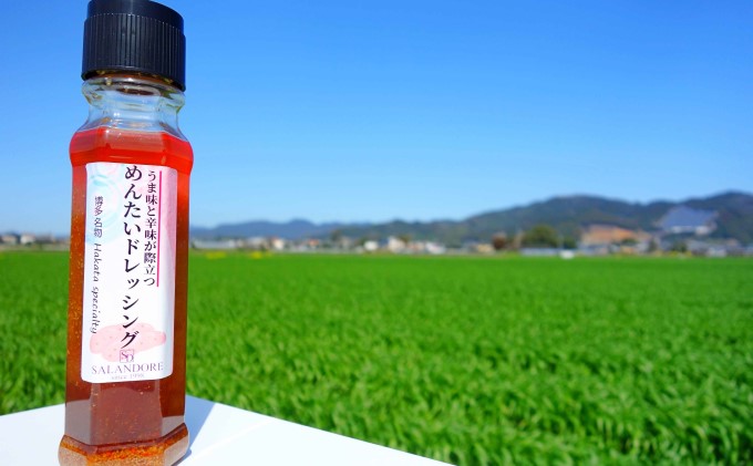 福岡県朝倉市のふるさと納税 ★48本セット★【うま味と辛味が際立つめんたいドレッシング】（標準サイズ200ml） 調味料