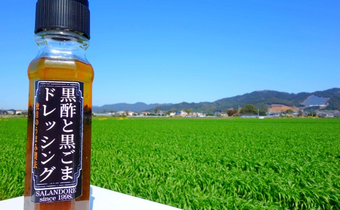 ★48本セット★【黒酢と黒ごまドレッシング】（標準サイズ200ml） 調味料 