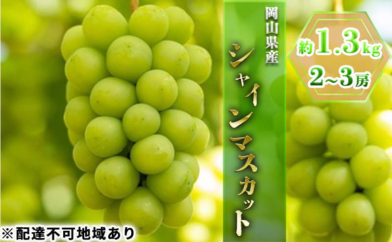 ぶどう 2025年 先行予約 シャイン マ