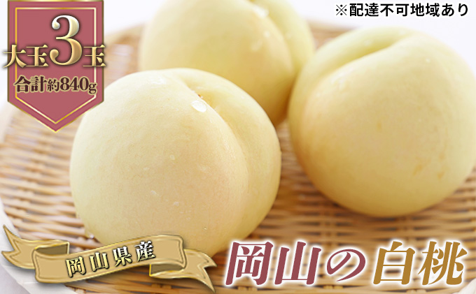 【岡山県玉野市】桃 2026年 先行予約 岡山の 白桃 大玉3玉 早生種 合計約840g もも モモ 岡山県産 国産 フルーツ 果物 ギフト