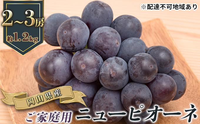 【岡山県玉野市】ぶどう 2026年 先行予約 ご家庭用 ニュー ピオーネ 2〜3房 合計約1.2kg ブドウ 葡萄  岡山県産 国産 フルーツ 果物 ギフト