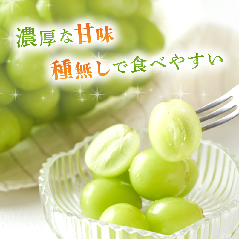 ぶどう 2026年 先行予約 ご家庭用 シャイン マスカット 2～3房 合計約1.2kg ブドウ 葡萄  岡山県産 国産 フルーツ 果物 ギフト
