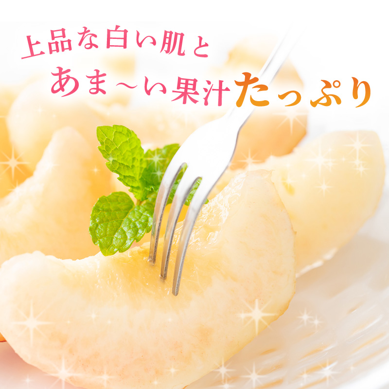桃 2026年 先行予約 岡山の 白桃 大玉3玉（晩生種）（1玉約300g） もも モモ 岡山県産 国産 フルーツ 果物 ギフト