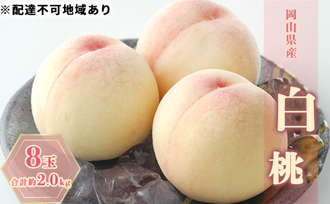 桃 2025年 先行予約 白桃 8玉 合計約2.0kg もも モモ 岡山県産 国産 フルーツ 果物 ギフト 果肉 