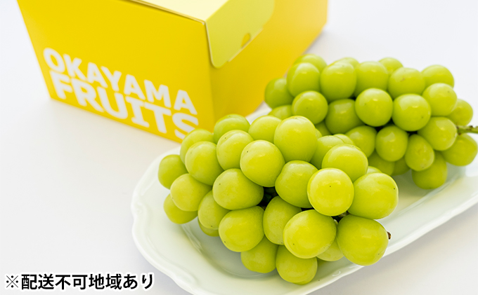 【岡山県瀬戸内市】ぶどう 2026年 先行予約 ご家庭用 シャイン マスカット 2〜3房 合計約1.2kg ブドウ 葡萄  岡山県産 国産 フルーツ 果物 ギフト