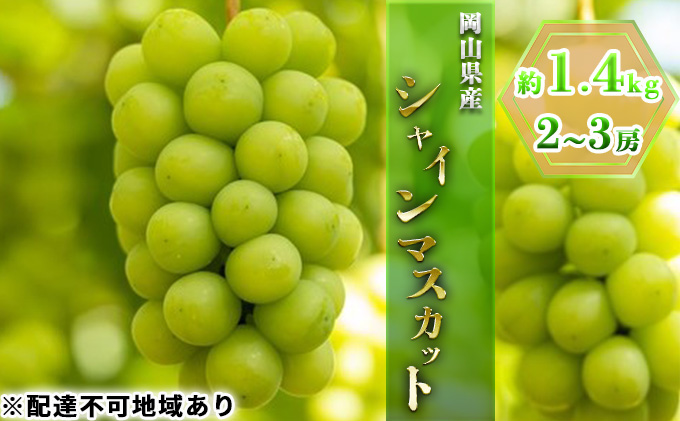 ぶどう 2025年 先行予約 シャイン マスカット 約1.3kg 2～3房 ブドウ 葡萄 岡山県産 国産 フルーツ 果物 ギフト 果物類 シャインマスカット 