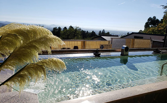 岐阜　湯華の郷　食事付入浴券ペア お食事券 チケット 温泉利用券 