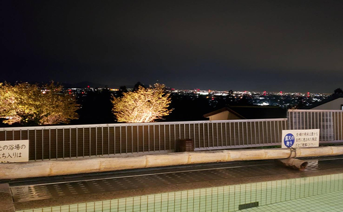 岐阜　湯華の郷　食事付入浴券ペア お食事券 チケット 温泉利用券 