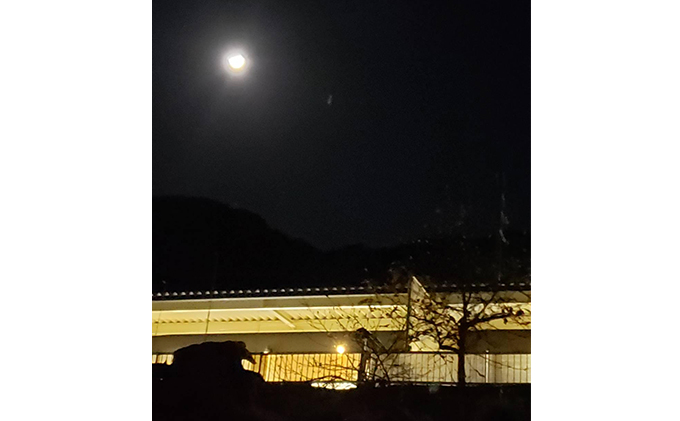 岐阜　湯華の郷　食事付入浴券ペア お食事券 チケット 温泉利用券 