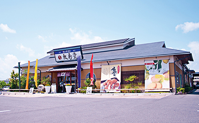 岡山県瀬戸内市のふるさと納税 どら焼き 敷島堂 夢どら 北海粒あん・クリーム小倉詰合せ 10個入 和菓子 お菓子 スイーツ 小倉あん 食べ比べ 2種セット おやつ お茶請け 土産 お取り寄せ ティータイム