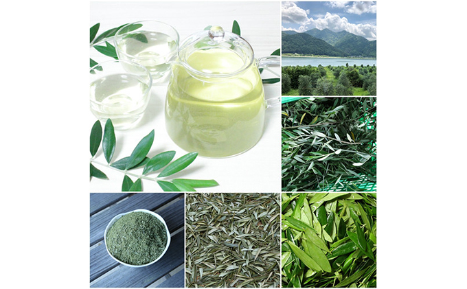 京都府宮津産100％ オリーブ茶10パック×3袋 飲料類 お茶 