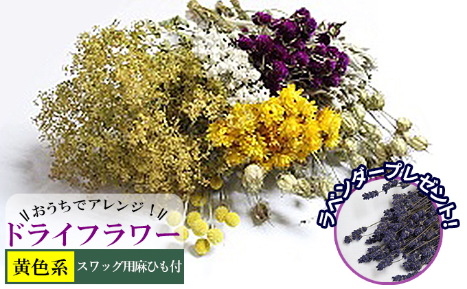 ykCxǖ쒬zŃAWIhCt[iFnjv[gt kC xǖ쒬 hCt[    ԑ t@bV CeA 蕨