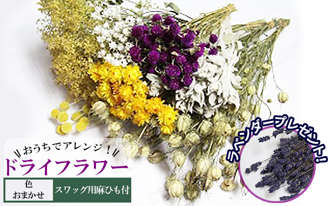 ykCxǖ쒬zŃAWIhCt[iF܂jv[gt kC xǖ쒬 hCt[    ԑ t@bV CeA 蕨