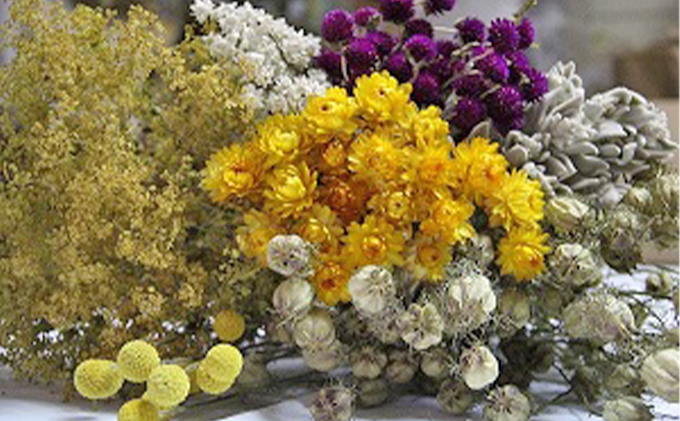 ＜おうちでアレンジ！＞ドライフラワー（黄色系）プレゼント付 北海道 南富良野町 ドライフラワー 花 お花 華 花束 ファッション小物 インテリア 贈り物 