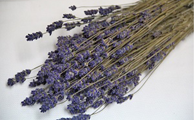 ＜おうちでアレンジ！＞ドライフラワー（黄色系）プレゼント付 北海道 南富良野町 ドライフラワー 花 お花 華 花束 ファッション小物 インテリア 贈り物 