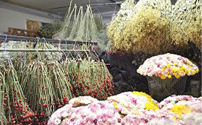 ＜おうちでアレンジ！＞ドライフラワー（青色系）プレゼント付 北海道 南富良野町 ドライフラワー 花 お花 華 花束 ファッション小物 インテリア 贈り物 