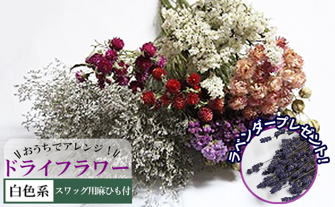ykCxǖ쒬zŃAWIhCt[iFnjv[gt kC xǖ쒬 hCt[    ԑ t@bV CeA 蕨