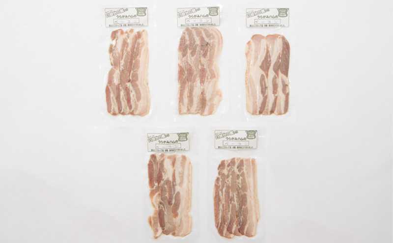 十勝の無添加豚 ベーコンスライス 450g［うらがみミート］ 無塩せき 保存料・結着剤不使用【 ベーコン 肉 豚 国産 惣菜 おつまみ 料理 燻製 加工品 北海道 十勝 幕別 】