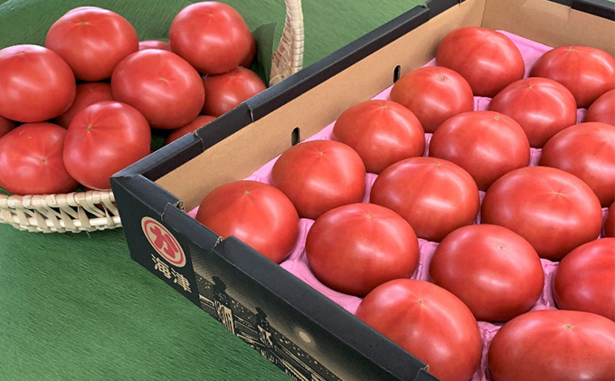 【岐阜県海津市】トマト 野菜 とまと