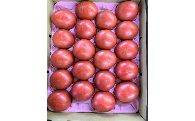 トマト 野菜 とまと 