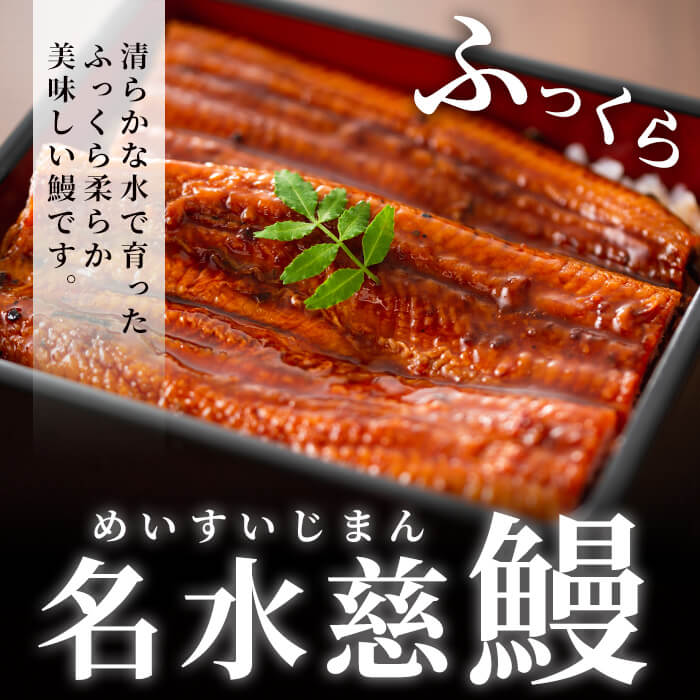 鹿児島県志布志市のふるさと納税 【訳あり・数量限定】復活！不揃いのうなぎ達 計800g以上(鹿児島県産 鰻の蒲焼き) b2-040