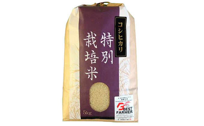 加賀百万石特別栽培米コシヒカリ「玄米」10kg2ヶ月連続お届け お米 頒布会 