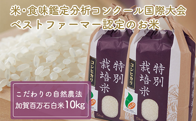  【令和7年度産】加賀百万石特別栽培米コシヒカリ白米10kg 