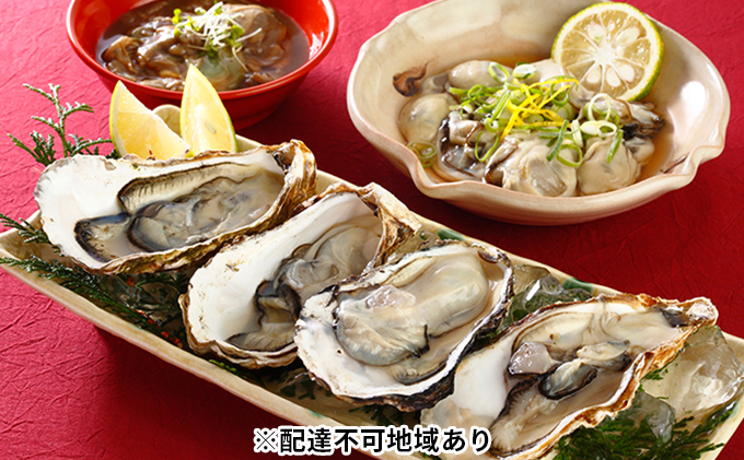 秀栄水産 瀬戸内の 牡蠣 豪華セット（むき身400g&殻つき約2kg&塩辛90g） 海の幸 海のミルク 海鮮 貝 岡山県 瀬戸内市 虫明湾 魚介類 カキ 