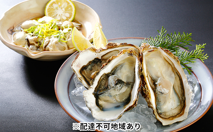 秀栄水産 瀬戸内の 牡蠣 豪華セット（むき身1kg＋殻つき約2kg） 海の幸 海のミルク 海鮮 貝 岡山県 瀬戸内市 虫明湾 魚介類 カキ 3kg 