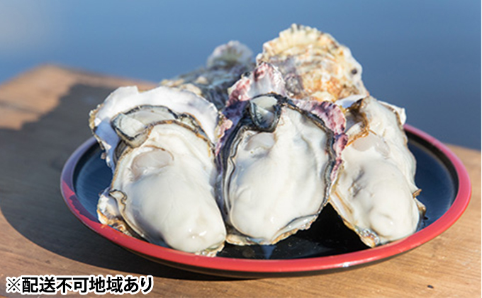 牡蠣 2026年先行予約 モリ旬 牡蠣 半斗缶 殻付き 約5～6kg（約45～60個） 岡山県 瀬戸内市 虫明産 魚介類 カキ かき