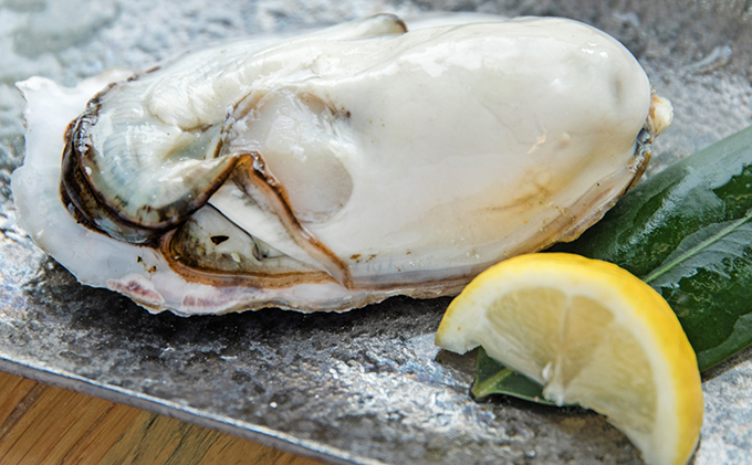 牡蠣 2026年先行予約 モリ旬 牡蠣 半斗缶 殻付き 約5～6kg（約45～60個） 岡山県 瀬戸内市 虫明産 魚介類 カキ かき