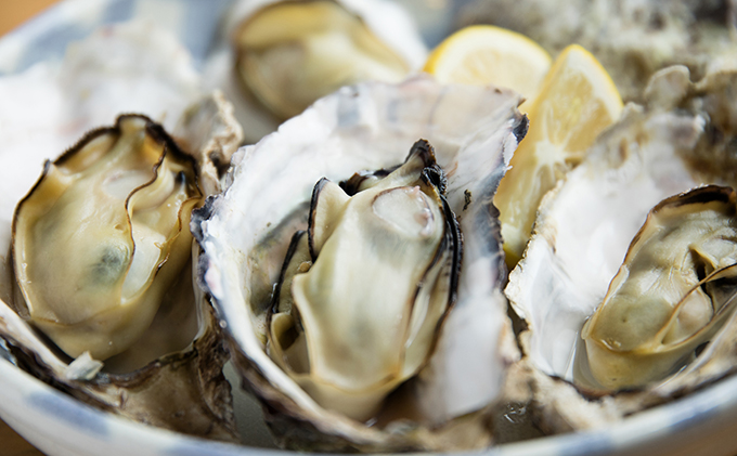 牡蠣 2026年先行予約 モリ旬 牡蠣 半斗缶 殻付き 約5～6kg（約45～60個） 岡山県 瀬戸内市 虫明産 魚介類 カキ かき